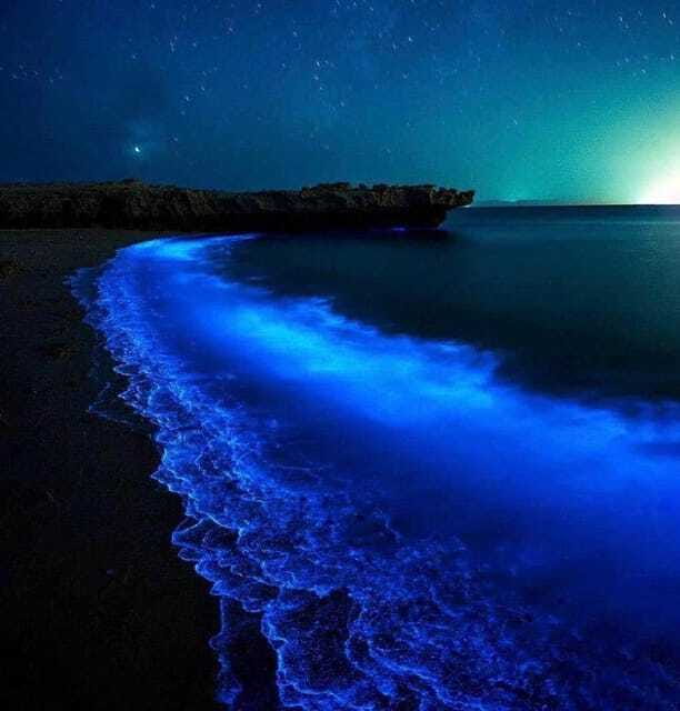 Cat Ba Island: Lan Ha Bay Bioluminescence Plankton Kayaking - Who will enjoy this tour most?
