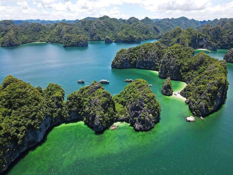 Cat Ba Island: Lan Ha Bay Bioluminescence Plankton Kayaking - Why this Cat Ba evening works so well