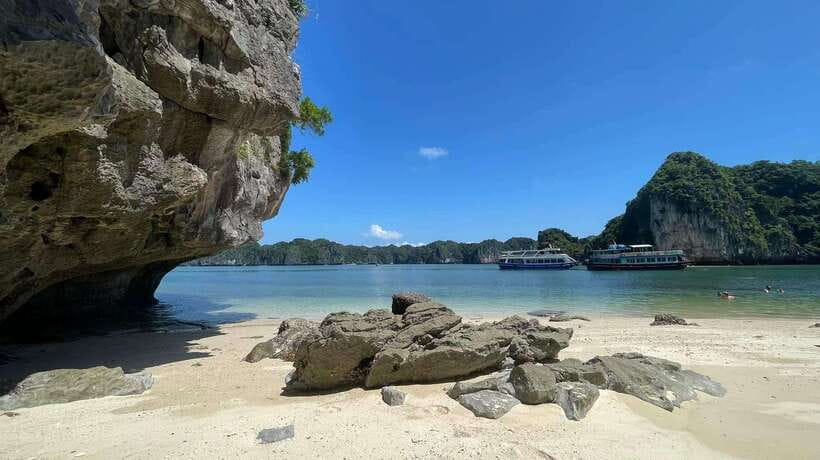 Cat Ba Island: Lan Ha Bay Bioluminescence Plankton Kayaking - Is $35 a good price?