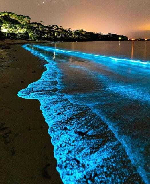 Cat Ba Island: Lan Ha Bay Bioluminescence Plankton Kayaking - What to bring for a wet, late evening