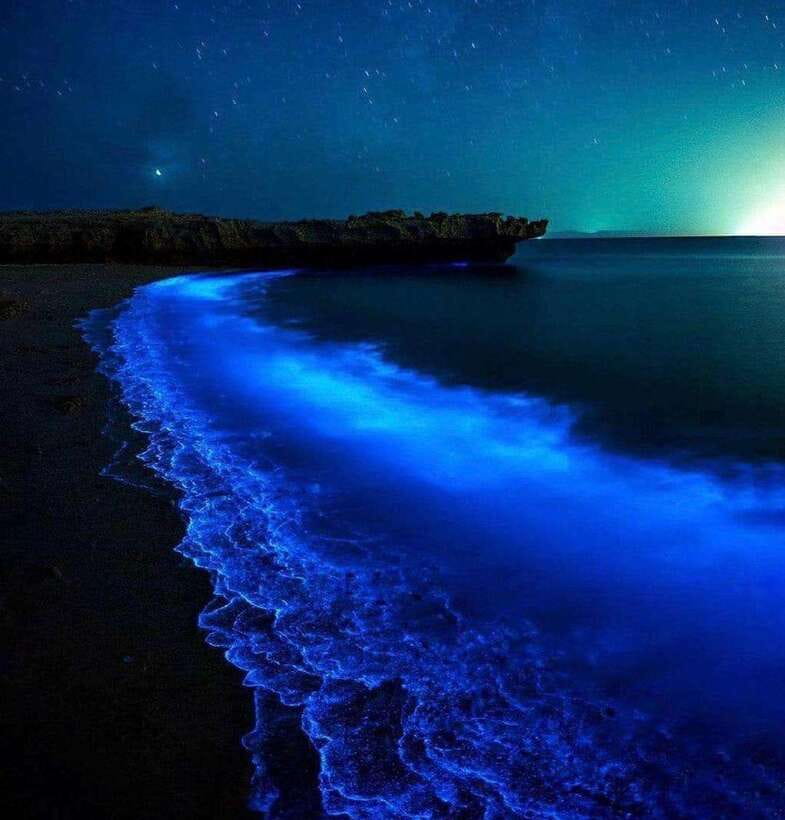 Cat Ba Island: Lan Ha Bay Bioluminescence Plankton Kayaking - 3:30 p.m. pickup and the ride to Bến Bèo