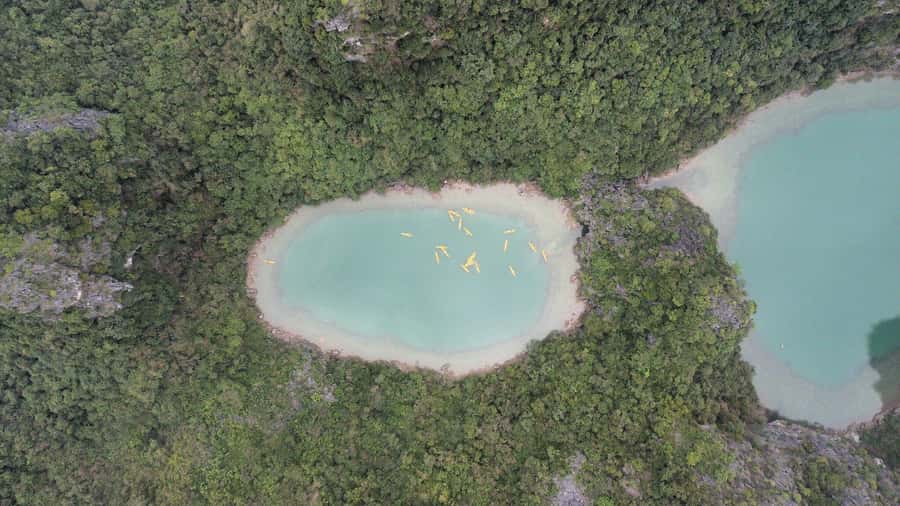 Cat Ba: Lan Ha and Ha Long Bay Boat Tour with Kayaking, Cave - What the $32 price really covers