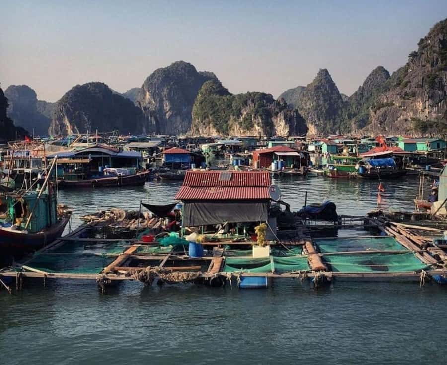 Cat Ba : Lan Ha Bay Bioluminescent Plankton Kayak Boat Tour - Monkey Island, beach time, and a steep little climb