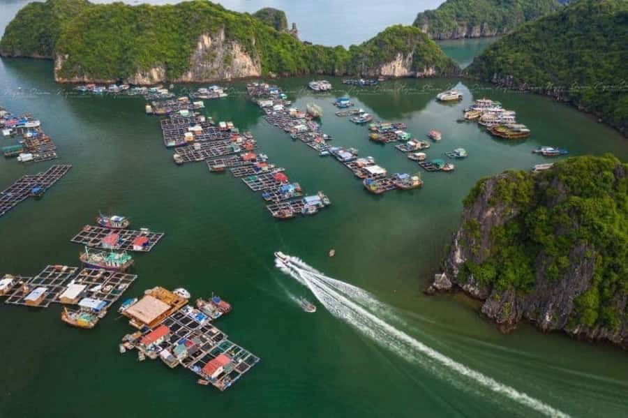 Cat Ba : Lan Ha Bay Bioluminescent Plankton Kayak Boat Tour - Dinner at Alibaba’s family restaurant