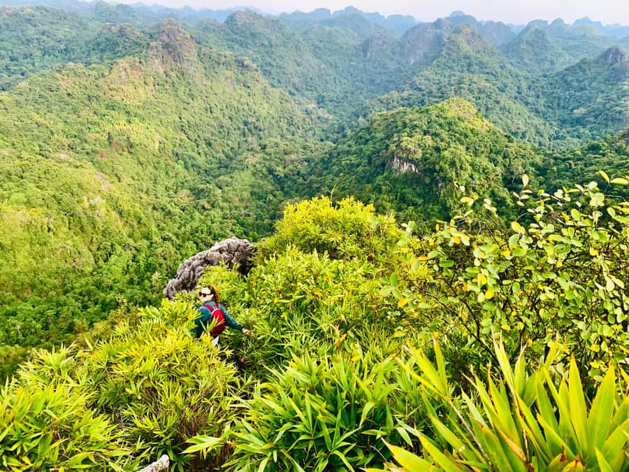Cat Ba: Lan Ha Bay Halfday Cruise with Kayaking - Key Points Before You Book