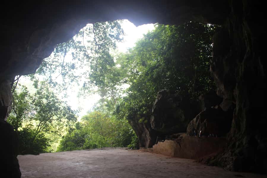 Cat Ba: Lan Ha Bay Halfday Cruise with Kayaking - Swimming in Emerald Water