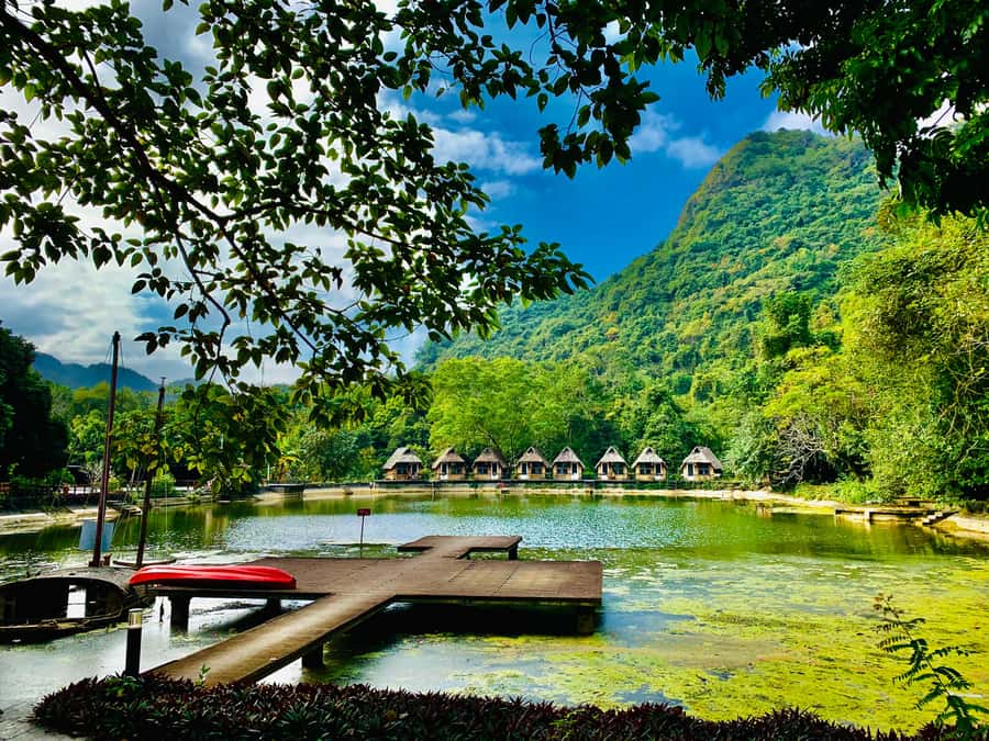 Cat Ba: Lan Ha Bay Halfday Cruise with Kayaking - What the $20 Price Really Covers