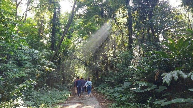 Cat Ba: National Park Day Trip with Cycling and Kayaking - Who should book this Cat Ba tour?