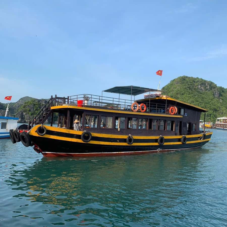 Cat Ba: Night Kayaking with Glowing Plankton - Lan Ha Bay by boat and kayak