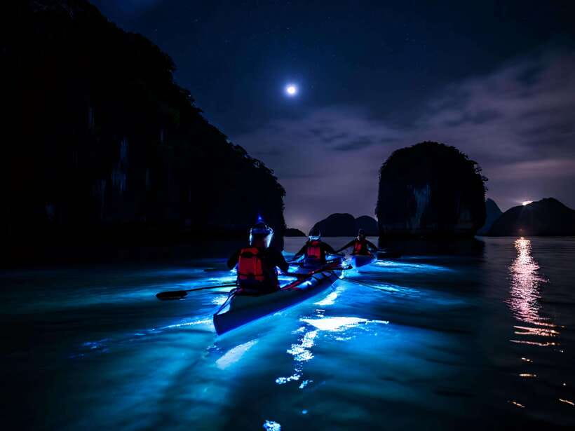 Cat Ba: Sunset and Night kayak with bioluminescent plankton - Cai Beo Floating Village and the floating home