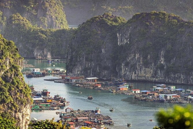 Cat Ba: Sunset & Bioluminescent Kayaking on Lan Ha Bay - Returning to Cat Ba by 8:30 pm