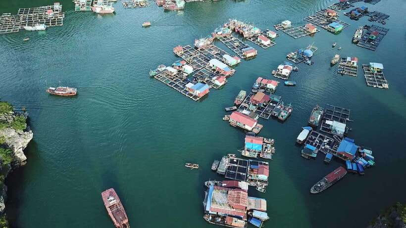 Cat Ba: Sunset on Lan Ha Bay with Sunset Party - Who Should Choose This Tour