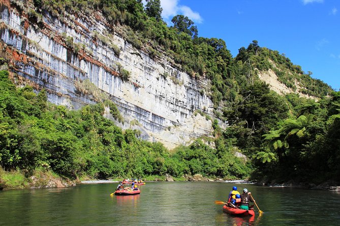 Cathedral Cove Kayak Tour - Is $127.22 a fair price?