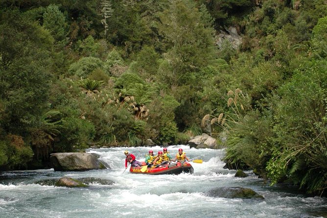 Cathedral Cove Kayak Tour - Who will enjoy this Cathedral Cove tour?
