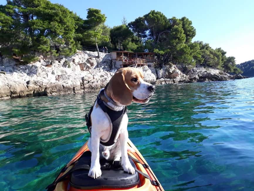 Cavtat: 'Pomalo' Guided Sea Kayaking Tour - Three hours around the Cavtat coast