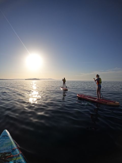 Chania: Stand-up Paddleboard Coastal Sunset Experience - Key points to know before booking