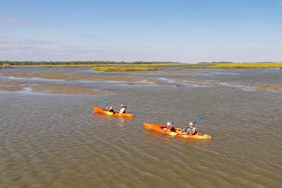 Charleston: Folly Beach Morning Kayak Dolphin Safari - Tandem kayaks and age rules
