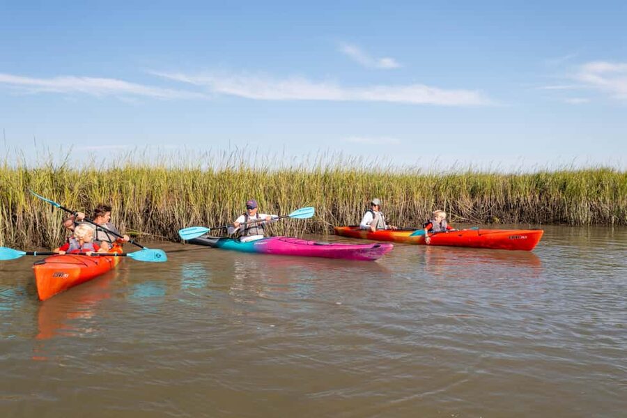 Charleston: Folly Beach Morning Kayak Dolphin Safari - Starting at Sea Monkeys Surf and Skate
