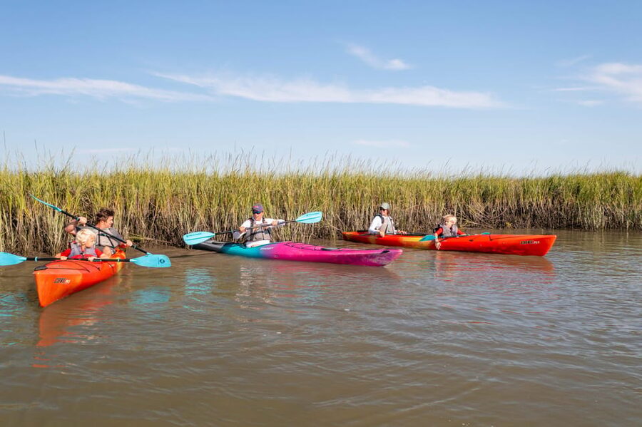 Charleston: Folly Beach Morning Kayak Dolphin Safari - Guides who add more than basic directions
