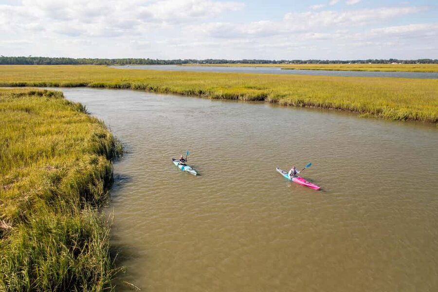 Charleston: Folly Beach Morning Kayak Dolphin Safari - What the $55 price includes