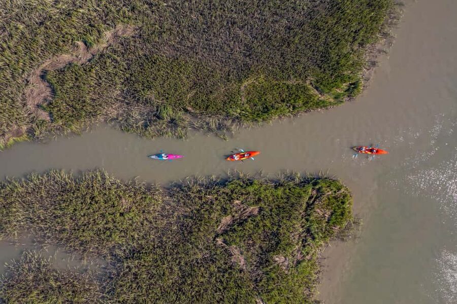Charleston: Folly Beach Morning Kayak Dolphin Safari - Choosing morning, afternoon, or sunset