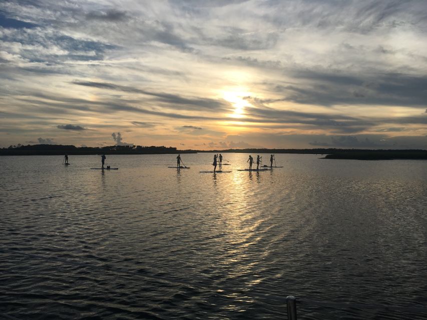 Charleston: Folly Beach Stand Up Paddleboard Dolphin Safari - Is $60 a fair price for two hours?