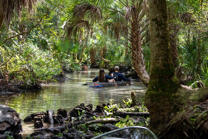 Chassahowitzka River Clear Kayak Springs & Manatee Tours - Key points to know before you book