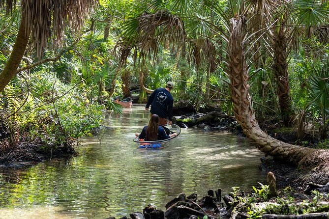 Chassahowitzka River Clear Kayak Springs & Manatee Tours - Starting at Seven Sisters Campground