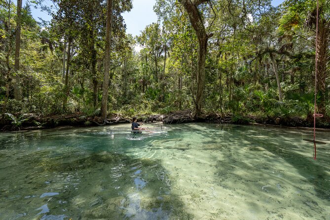 Chassahowitzka River Clear Kayak Springs & Manatee Tours - Baird Creek and the old Florida feel