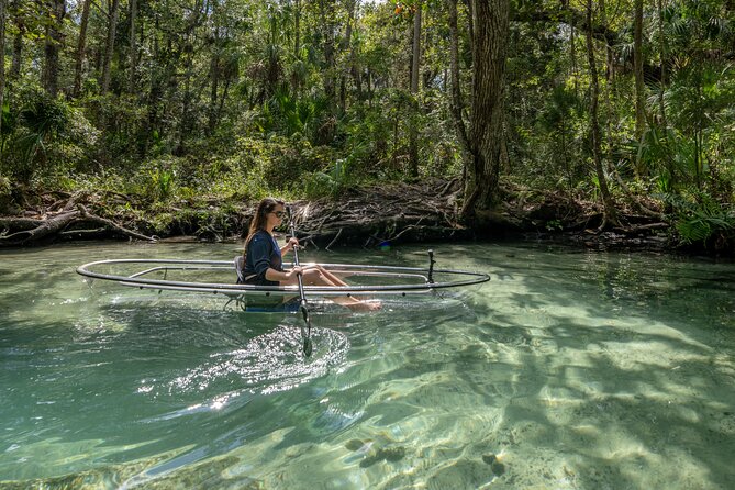 Chassahowitzka River Clear Kayak Springs & Manatee Tours - Seven Sisters Springs and the underwater passages