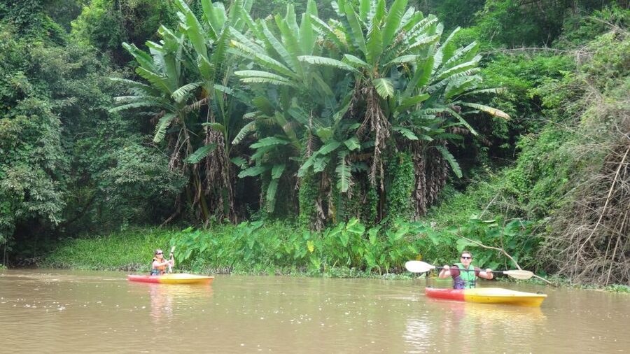 Chiang Mai: 15 km Leisure River Kayaking at Mae Ngat forest - Watching fishermen, buffaloes, and birds