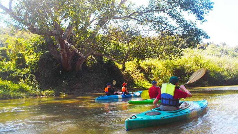 Chiang Mai: 15 km Leisure River Kayaking at Mae Ngat forest - Swimming and shade beneath the trees