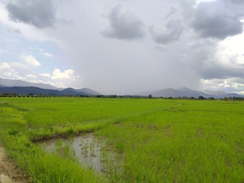 Chiang Mai: 25km Leisure Mountain Biking & Jungle Kayaking - Guides, group pace, and practical comfort