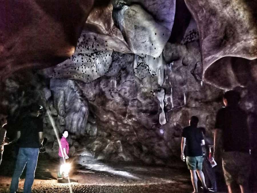 Chiang Mai: Full-Day Chiang Dao Caving & Jungle Kayaking - Should you book the Chiang Dao Cave and jungle kayak trip?