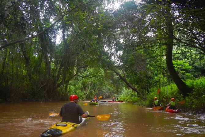 Chiang Mai : Kayak the Jungle Rivers of Chiang Dao Valley! - Getting comfortable in the kayak