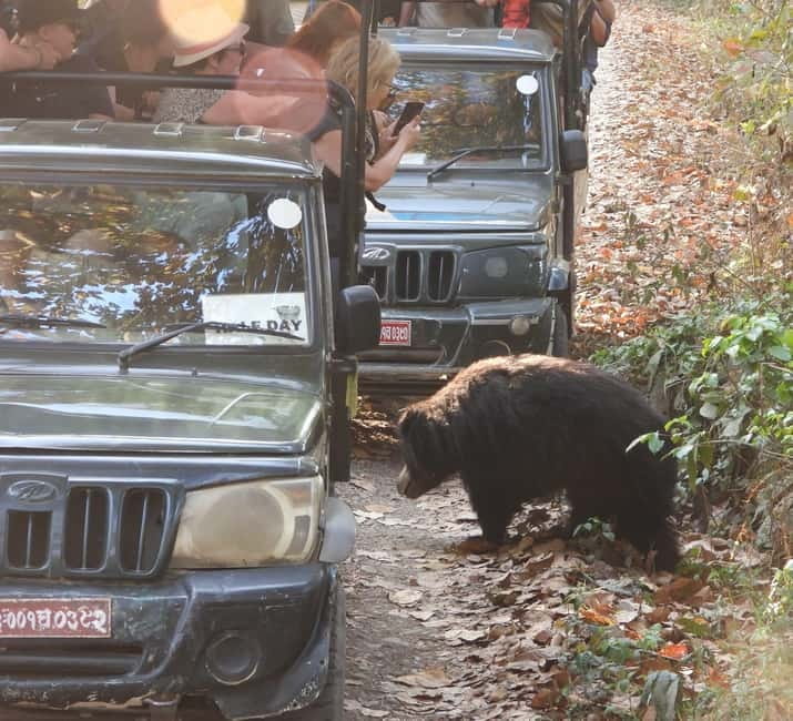 Chitwan: Full-Day Safari Canoeing and Jungle Walk and Jeep - Who should book this safari?