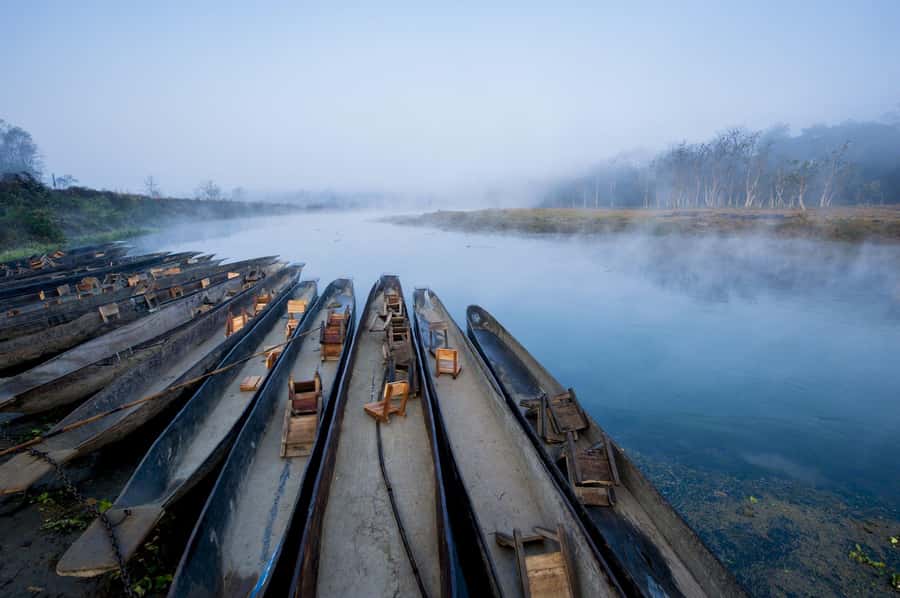 Chitwan: Jungle Safari Tour with Canoe Ride in Forest River - Why this three-day Chitwan trip works
