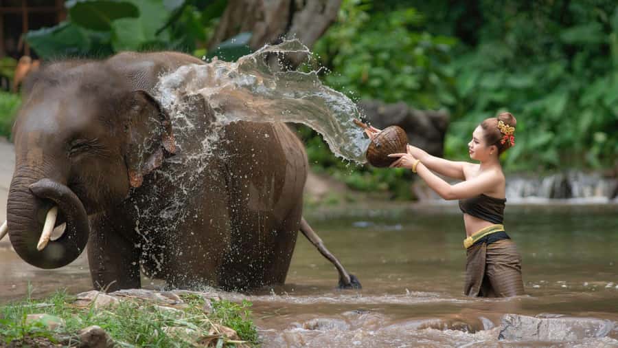 Chitwan: Jungle Safari Tour with Canoe Ride in Forest River - Day two: Jeep safari in Chitwan National Park