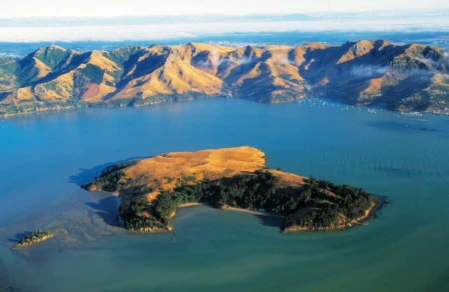 Christchurch: Sea Kayaking Tour of Lyttelton Harbour - Practical planning for the 8-hour outing
