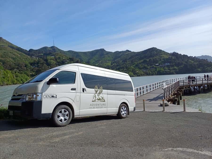 Christchurch: Sea Kayaking Tour of Lyttelton Harbour - Crossing to Quail Island and Otamahua