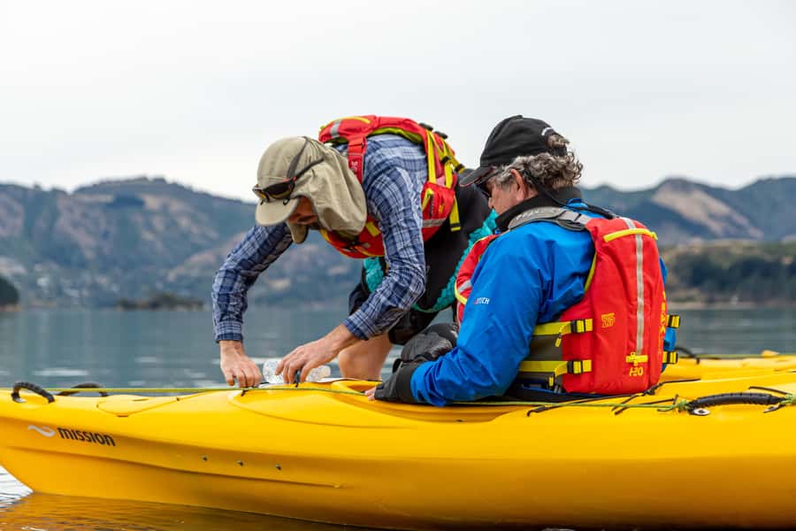 Christchurch: Sea Kayaking Tour of Lyttelton Harbour - The steamship graveyard