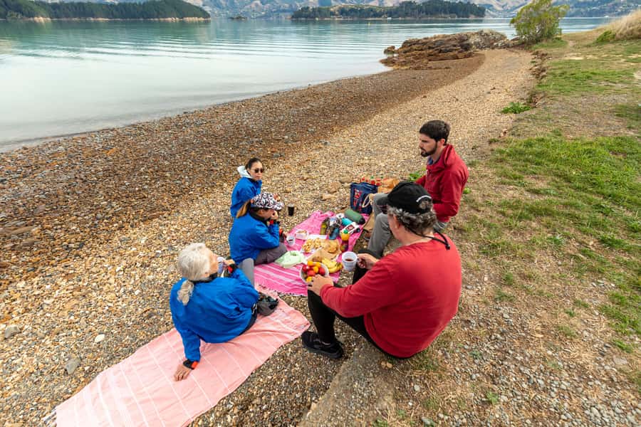 Christchurch: Sea Kayaking Tour of Lyttelton Harbour - Equipment, lunch, and the $268 price