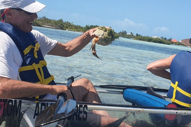Clear Bottom Kayaks Mangrove Tour - The two-hour pace and possible delays