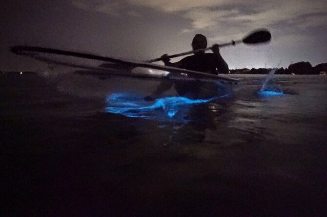 Clear Kayak Bioluminescence Tour - Key points before you paddle