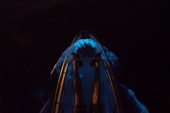 Clear Kayak Bioluminescence Tour - Haulover Canal is the real starting point