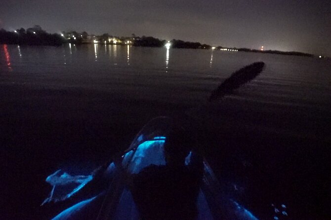 Clear Kayak Bioluminescence Tour - What the bioluminescence may look like