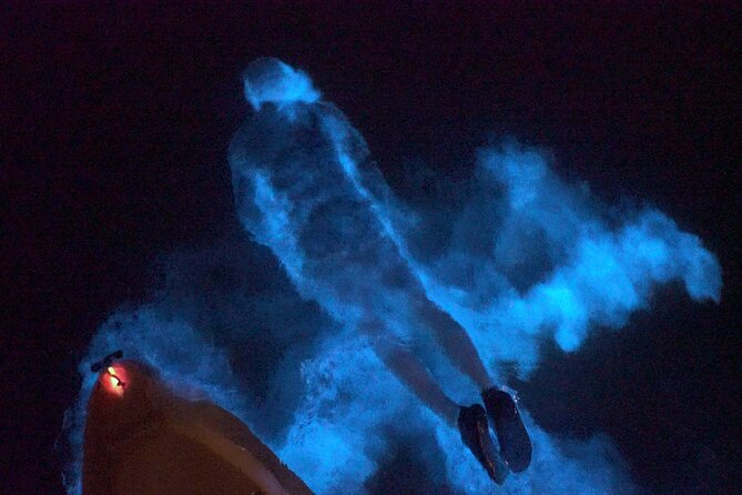 Clear Kayak Bioluminescence Tour - Stars, sunsets, and the occasional rocket