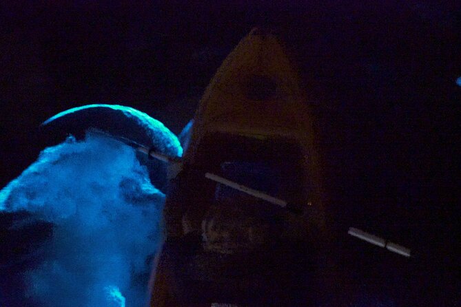 Clear Kayak Bioluminescence Tour - Weather and cancellation rules matter