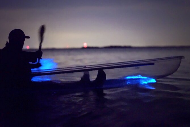 Clear Kayak Bioluminescence Tour - Cocoa Beach - What the 90-minute paddle feels like