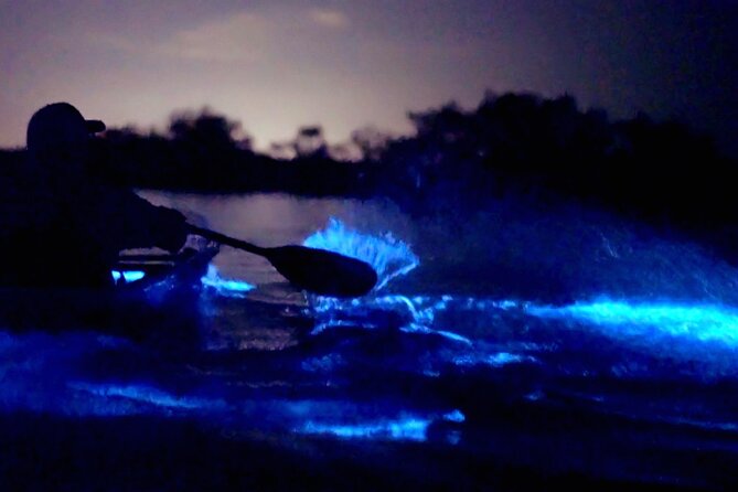 Clear Kayak Bioluminescence Tour - Cocoa Beach - Wildlife beyond the glow